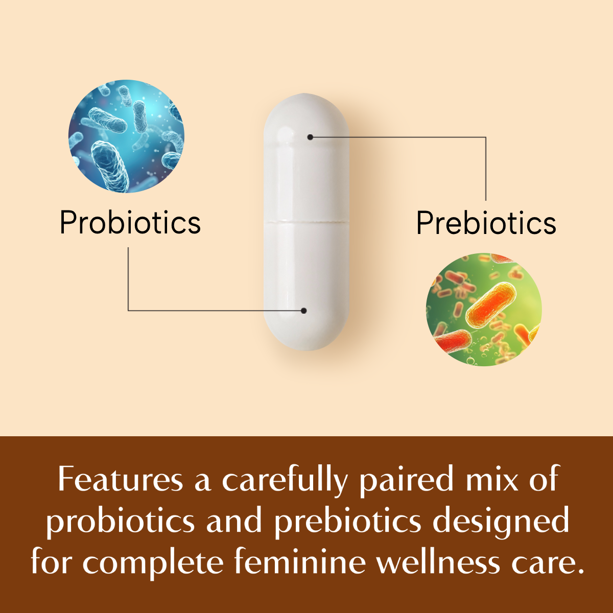 Purfectnook Daily Probiotic Capsules